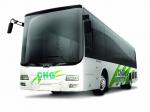 Wuzhoulong FDG6121 CNG 2011 года